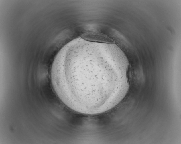 X0000113330320200910131154