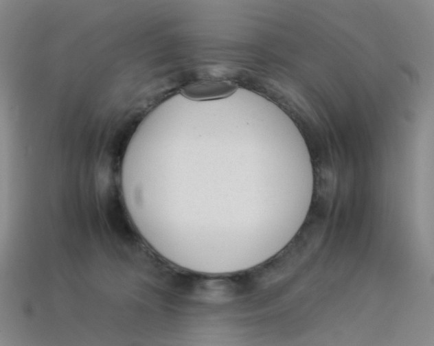 X0000113330324200910131154