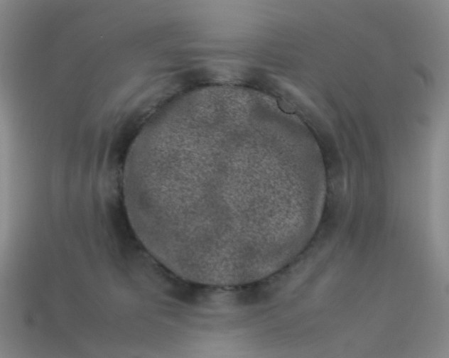 X0000113330325200910131154