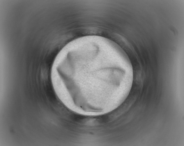 X0000113330326200910131154