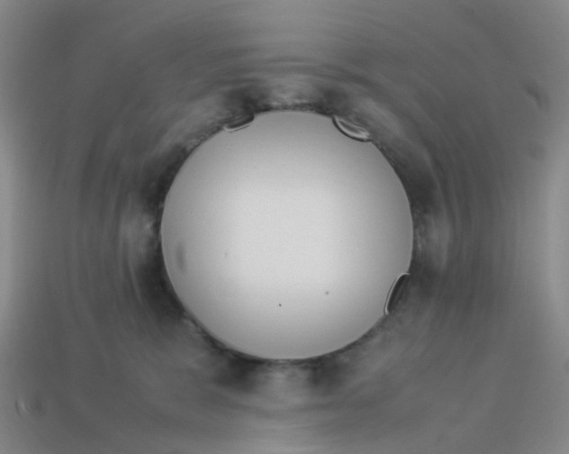 X0000113330327200910131154