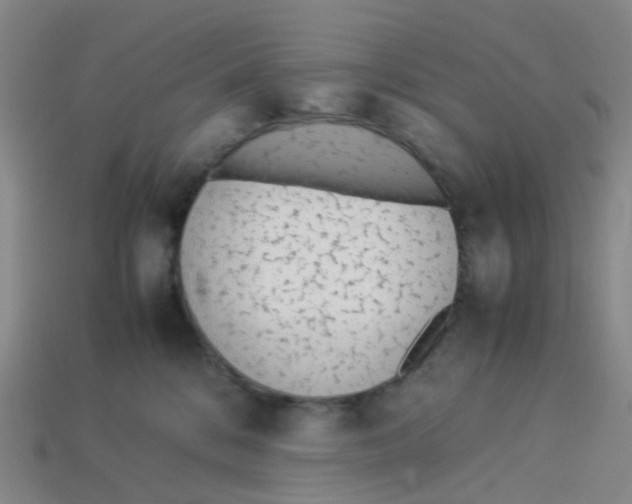 X0000113330328200910131154