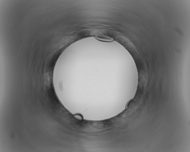 X0000113330329200910131154