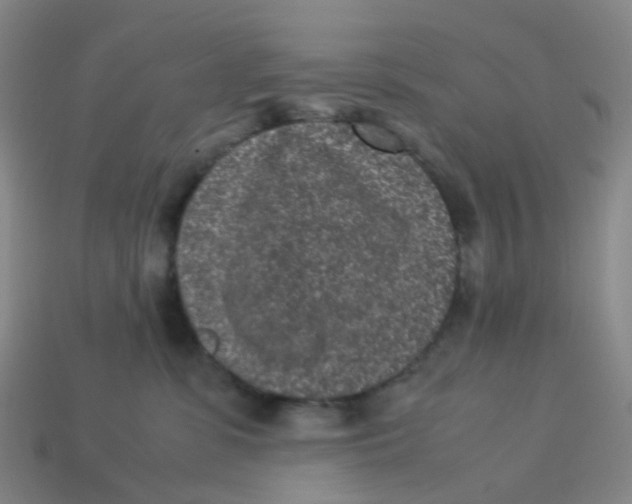 X0000113330331200910131153