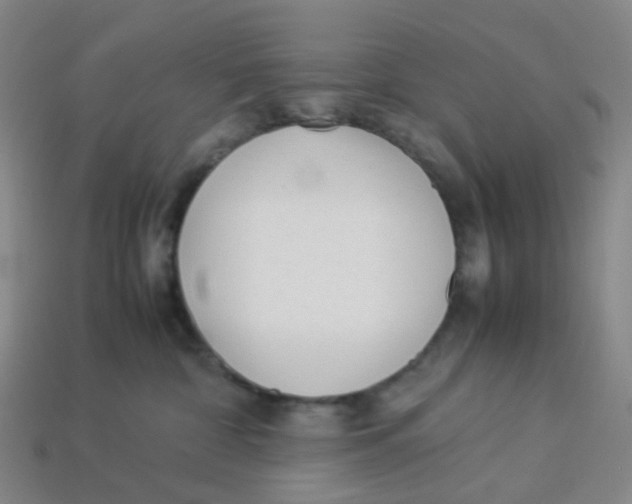 X0000113330332200910131153