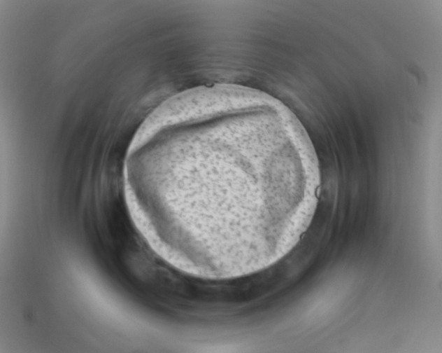 X0000113330334200910131153