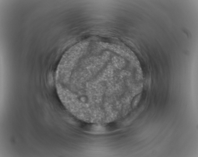 X0000113330335200910131153
