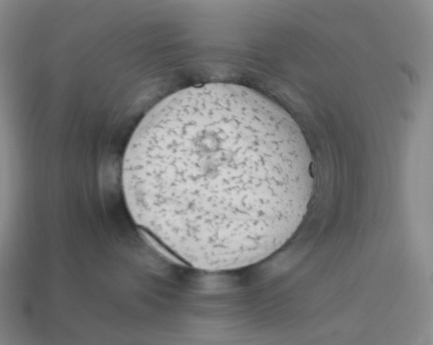 X0000113330336200910131153