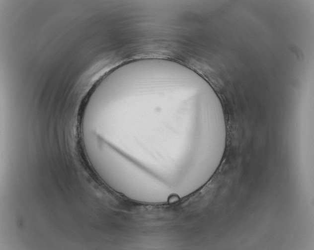X0000113330338200910131153