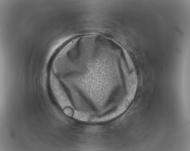 X0000113330342200910131153