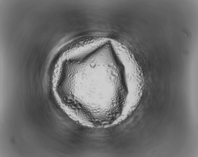 X0000113330343200910131153