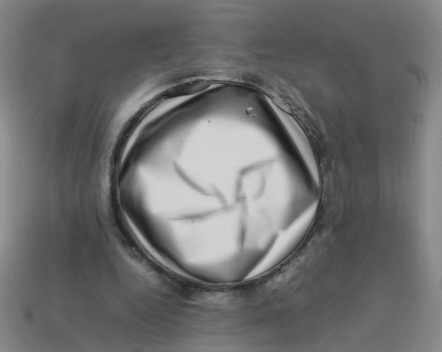 X0000113330344200910131153