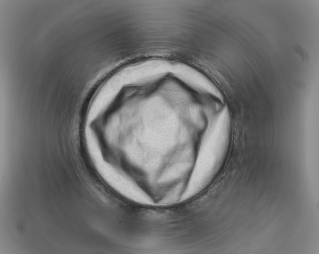 X0000113330346200910131153