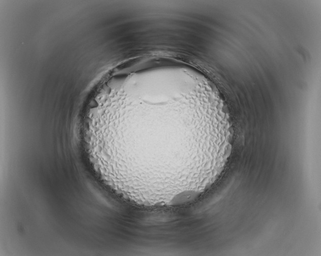 X0000113330347200910131153