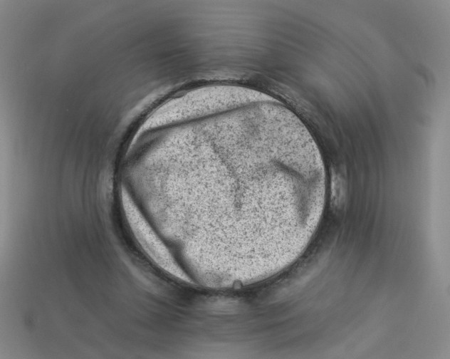 X0000113330348200910131153