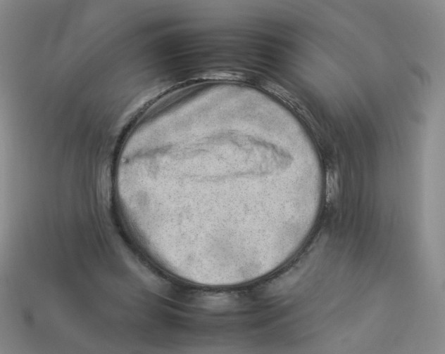 X0000113330349200910131153