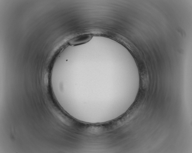 X0000113330350200910131153