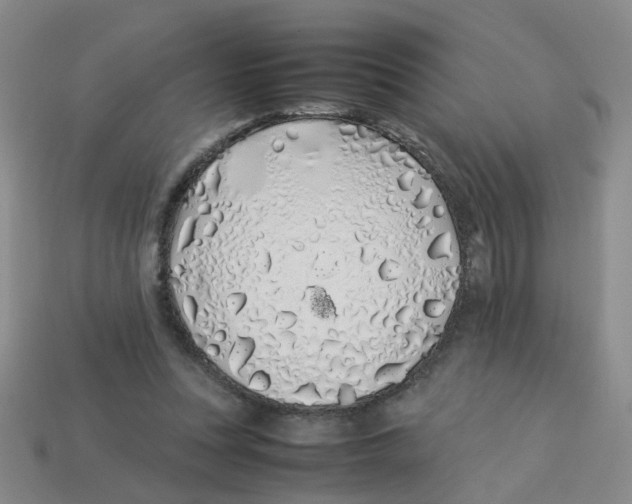X0000113330351200910131153