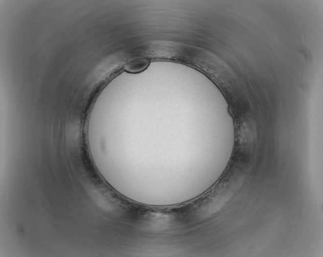 X0000113330352200910131153