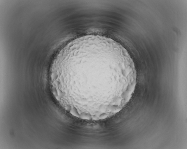 X0000113330353200910131153