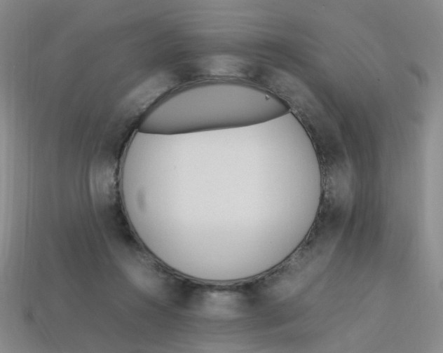 X0000113330360200910131153