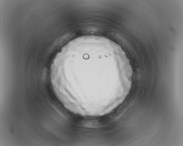 X0000113330361200910131153