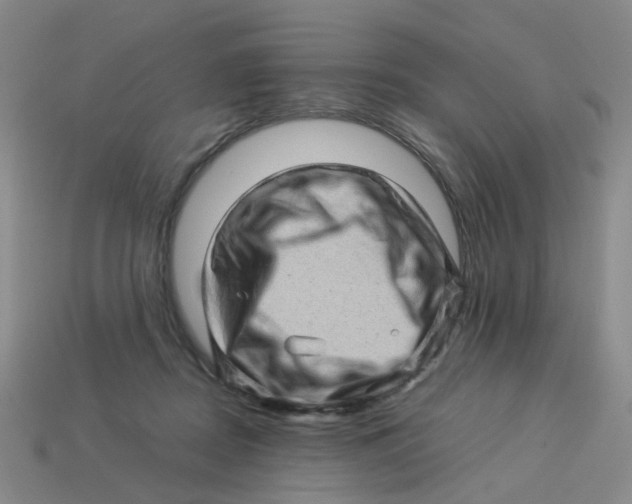 X0000113330362200910131153