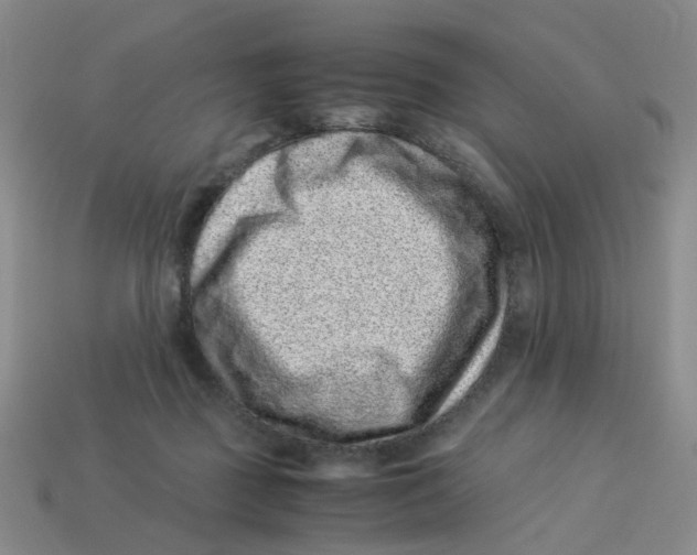 X0000113330363200910131153