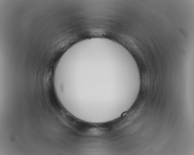 X0000113330364200910131153
