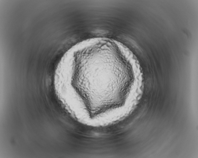 X0000113330365200910131153
