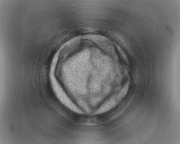 X0000113330366200910131153