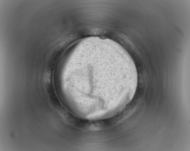 X0000113330368200910131153