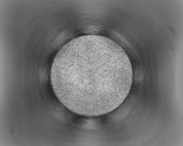 X0000113330370200910131153
