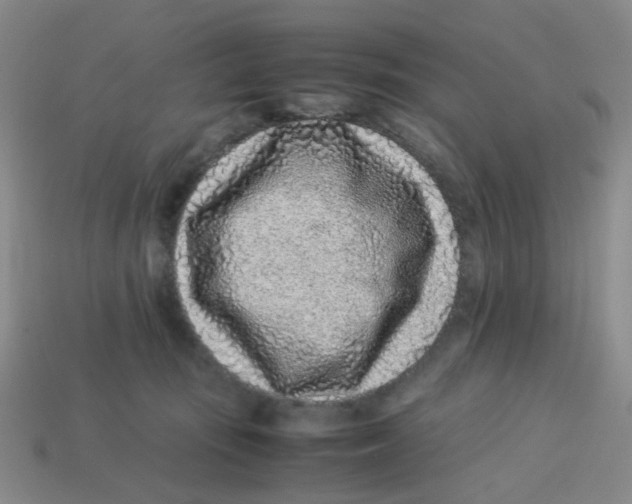 X0000113330371200910131153