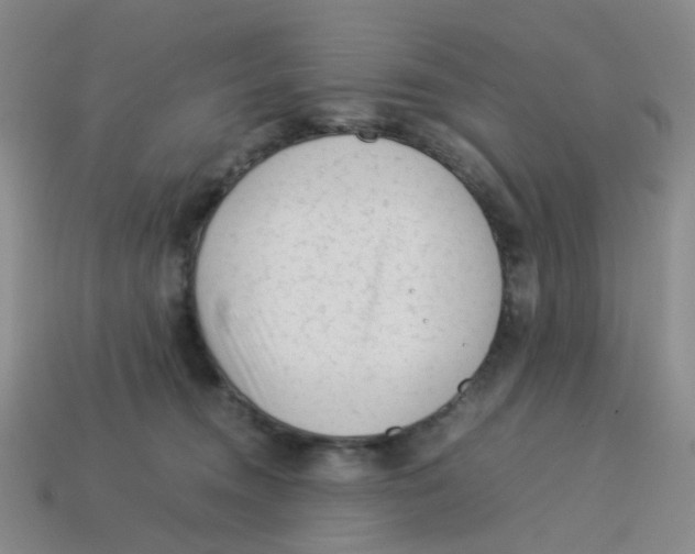 X0000113330372200910131153