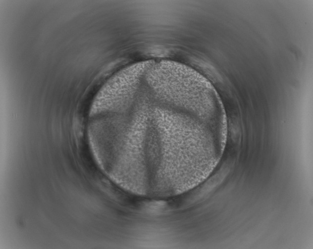 X0000113330374200910131153