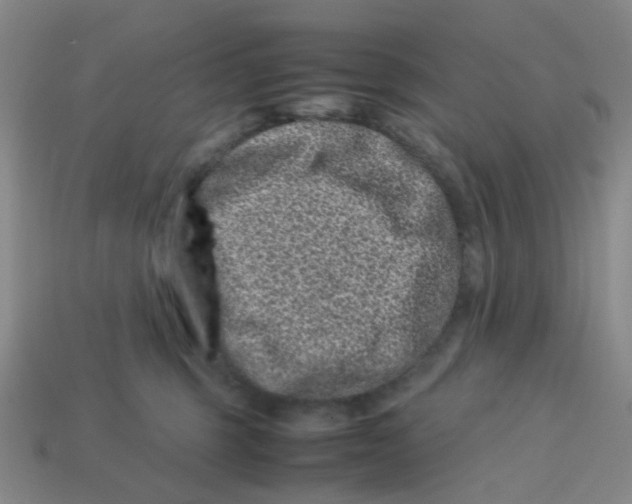 X0000113330375200910131153
