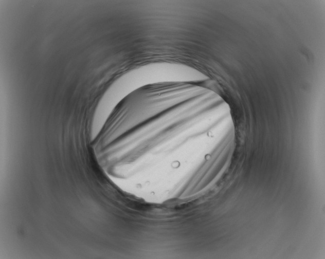 X0000113330376200910131153