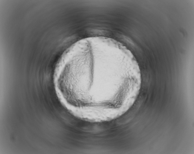 X0000113330377200910131153