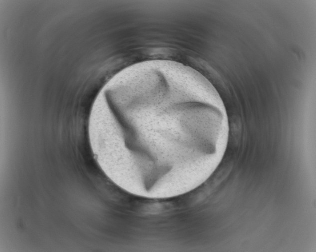 X0000113330379200910131153