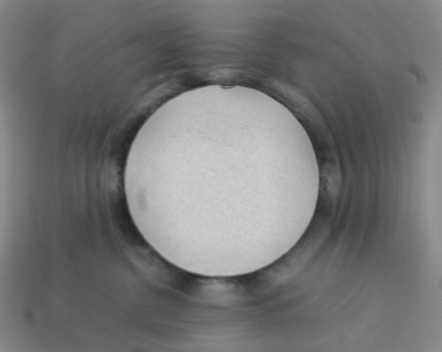 X0000113330380200910131153