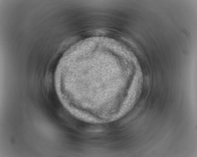 X0000113330381200910131153