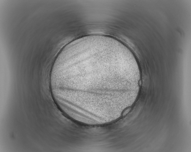 X0000113330385200910131153