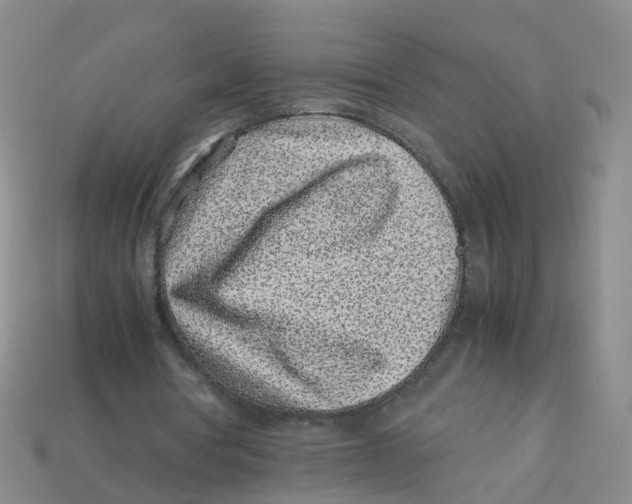 X0000113330386200910131153
