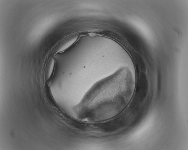 X0000113330387200910131153