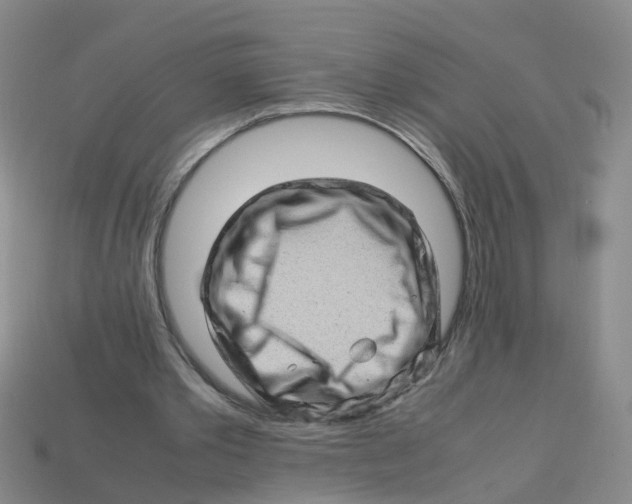 X0000113330389200910131153
