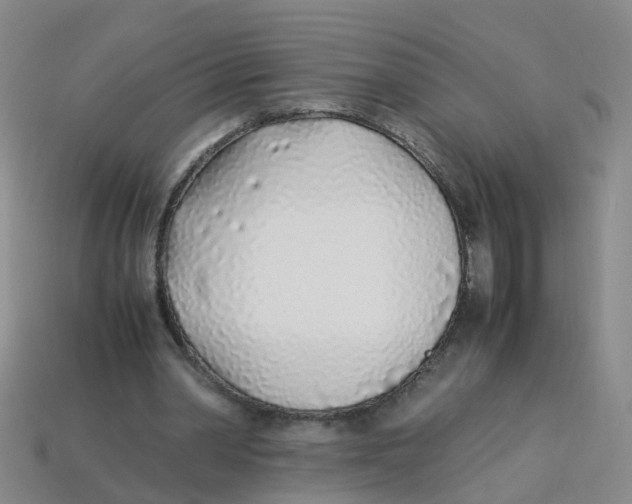 X0000113330390200910131153