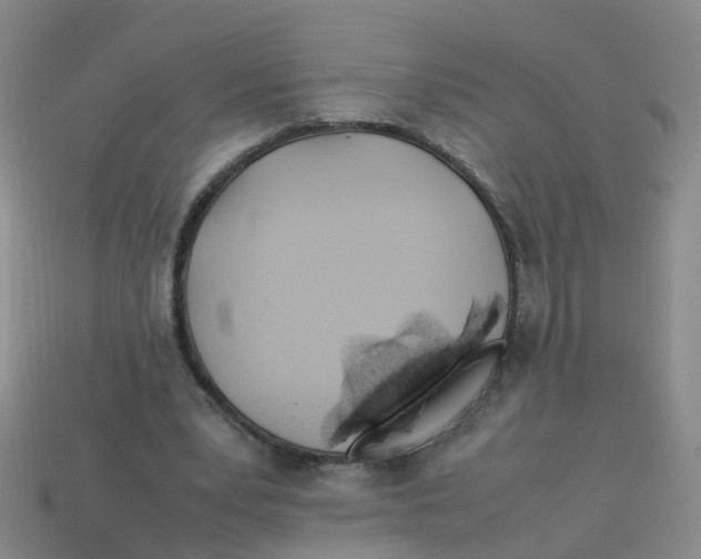 X0000113330391200910131153