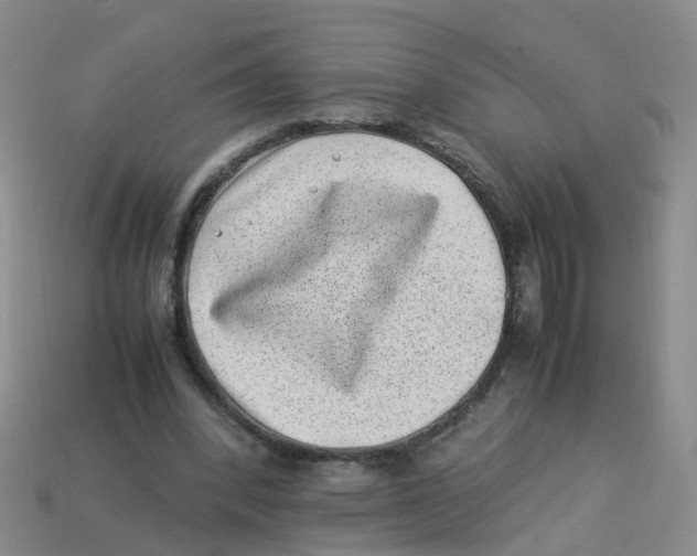 X0000113330392200910131153