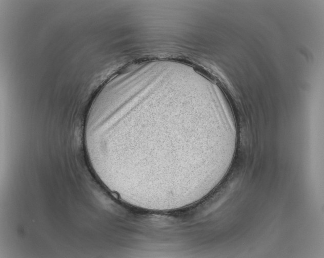 X0000113330393200910131153
